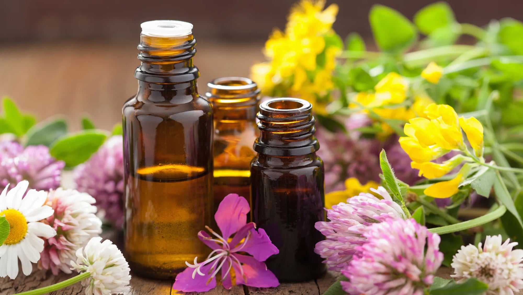 Transform Your Health and Well-being with Aromatherapy: 12 Ways Essential Oils Can Make a Difference