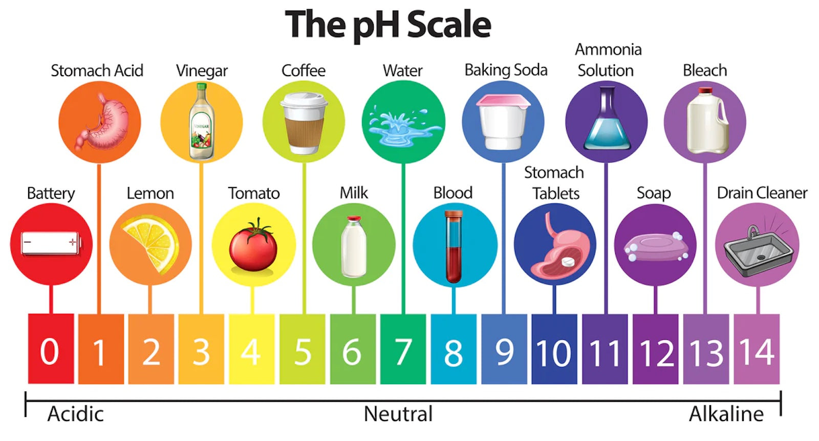 Balancing our Body pH and it's Importance During a Detoxification