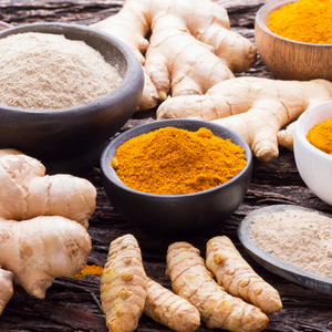 Premier Fermented Turmeric Plus – 4.7 oz Powder