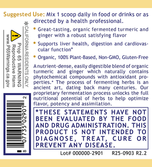 Premier Fermented Turmeric Plus – 4.7 oz Powder