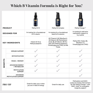 B vitamin comparison infographic