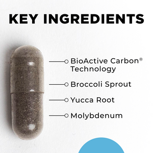 BioToxin Binder benefits overview