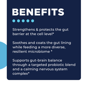CoreMend GI benefits overview
