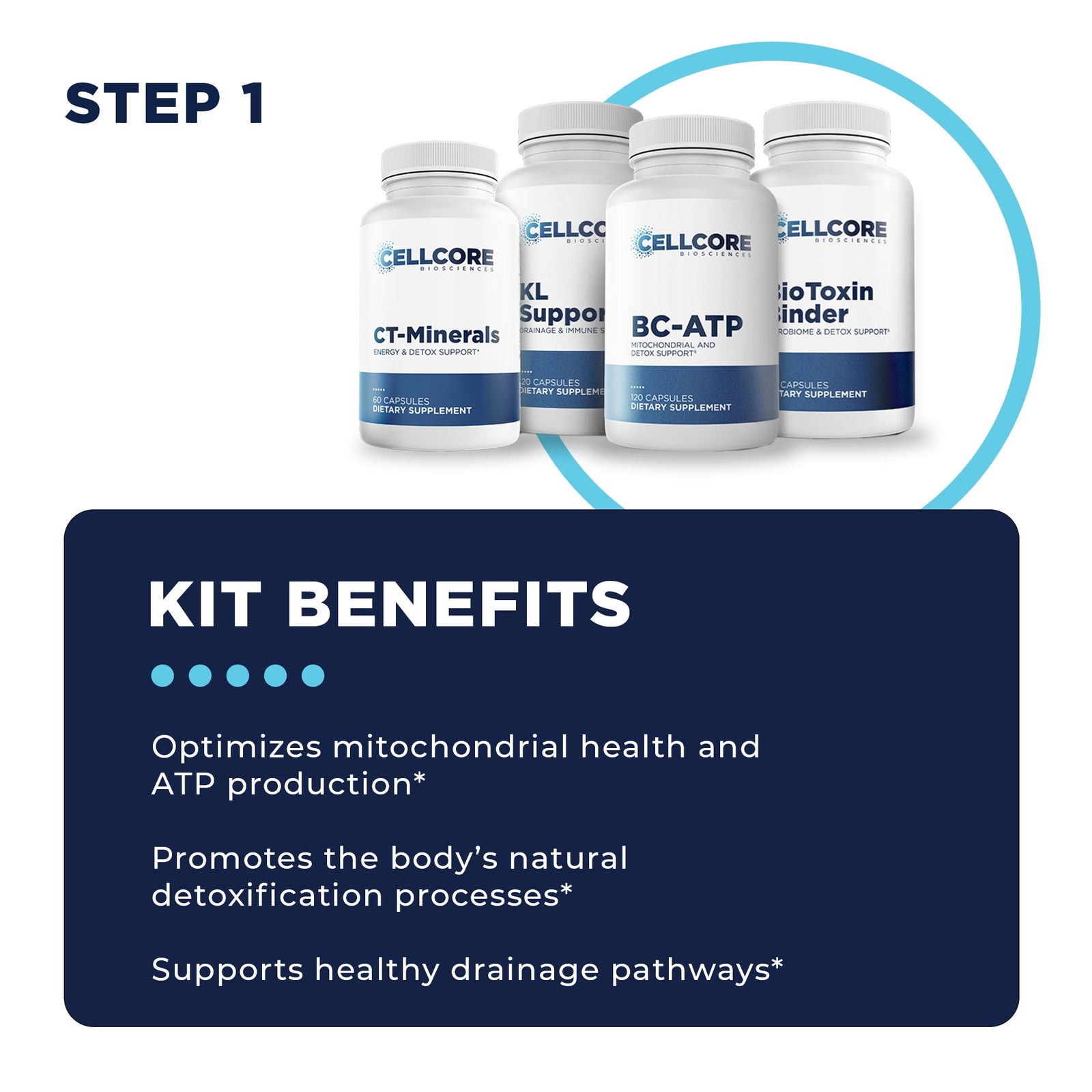Foundational Protocol Step 1 kit