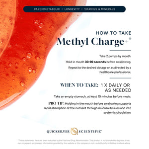 Methyl Charge+ infographic