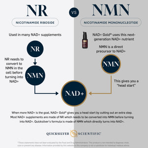 NR vs NMN NAD+ Gold comparison infographic