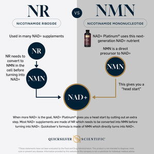 NR vs NMN NAD+ Platinum infographic
