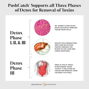 How PushCatch Liver Detox works